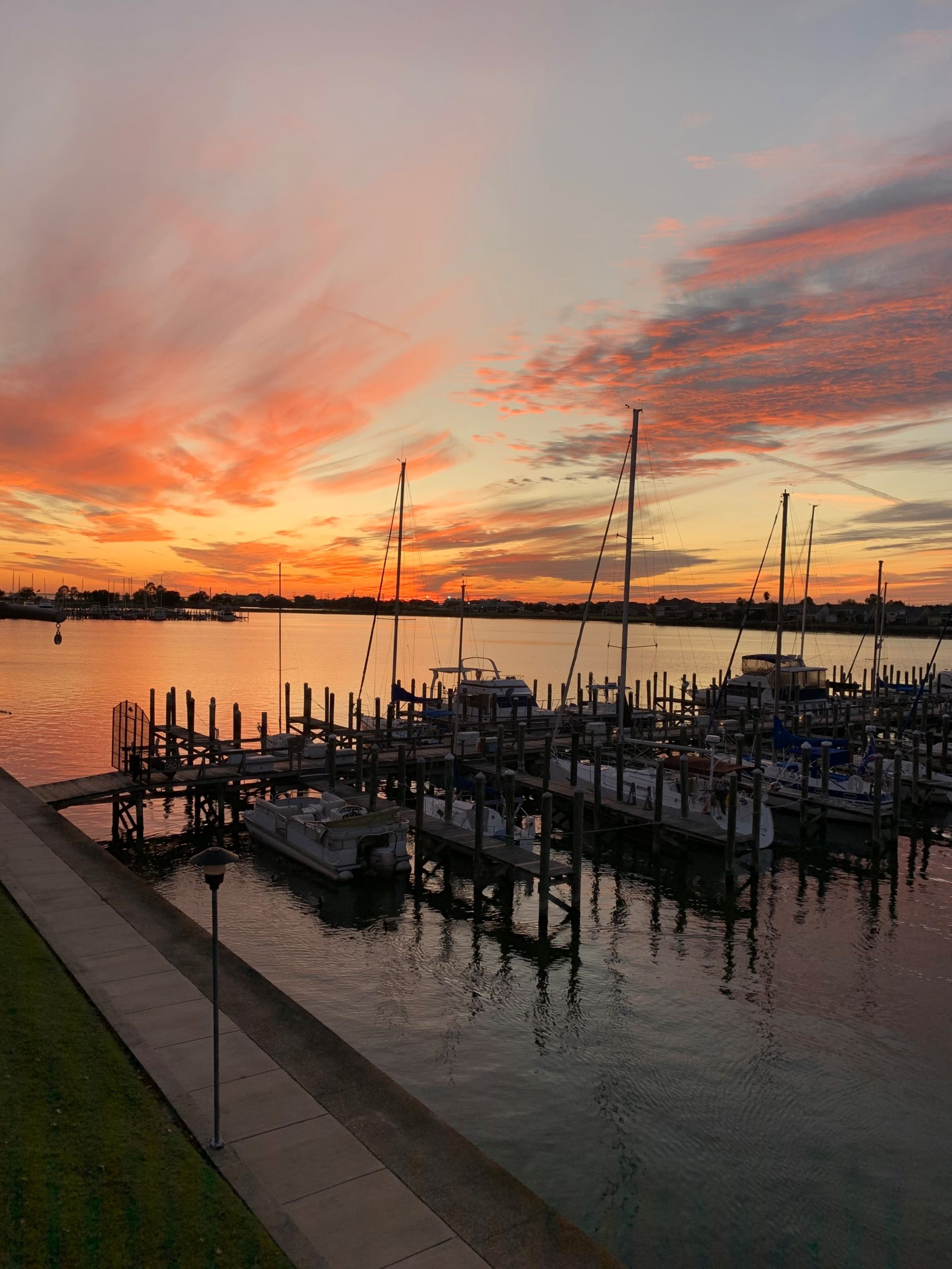 yacht club tamaki